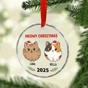 Personalized Cat Christmas Ornament – Custom Name Glass Decoration with Santa Hats and 2025