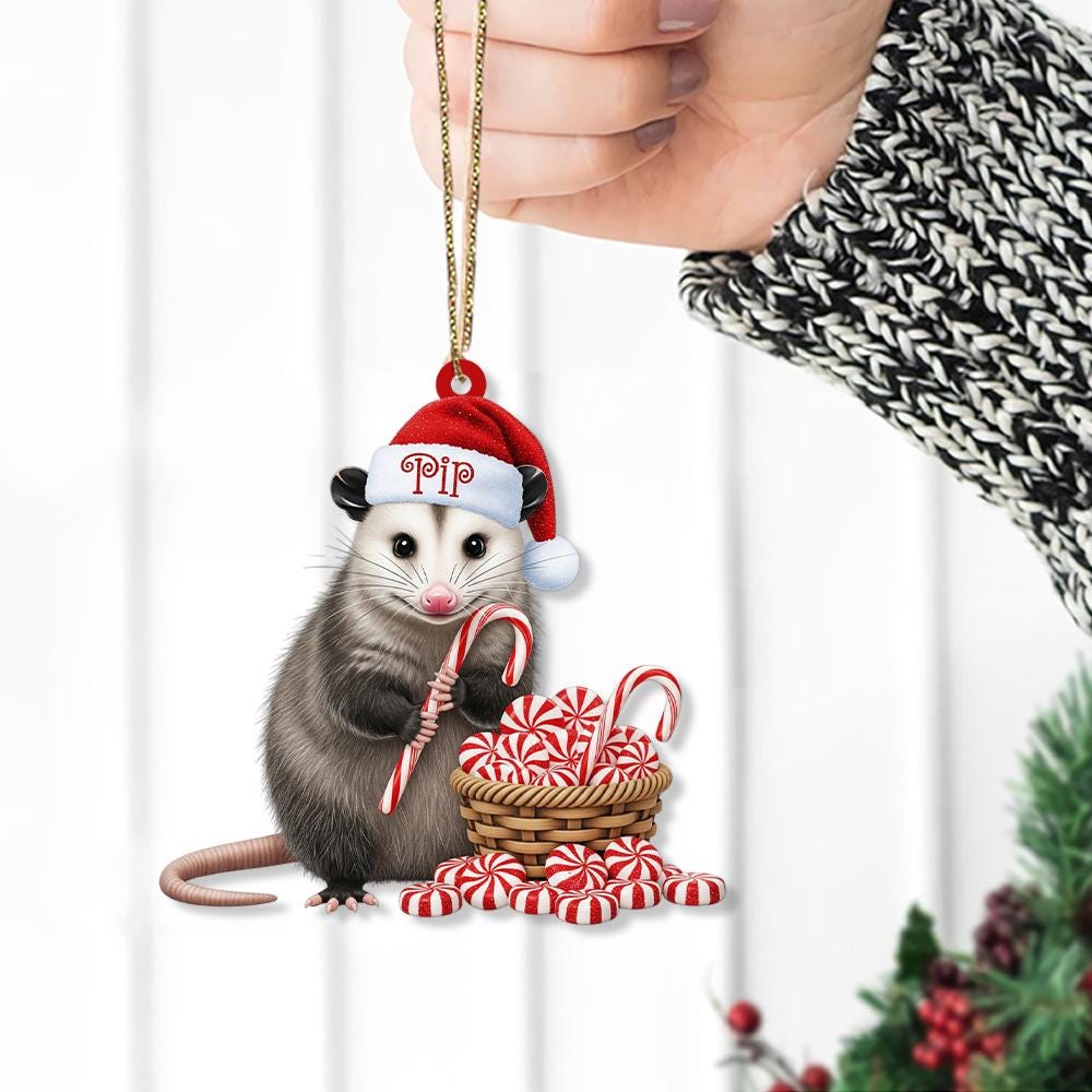 Personalized Opossum Ornament – Custom Name Santa Hat Christmas Tree Decoration
