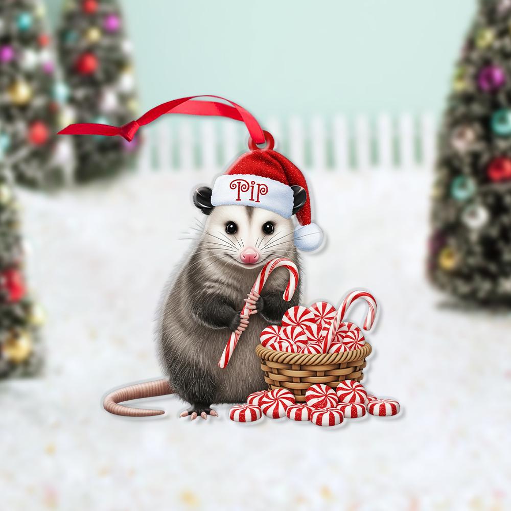 Personalized Opossum Ornament – Custom Name Santa Hat Christmas Tree Decoration