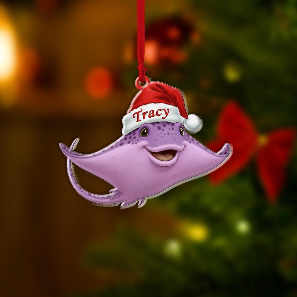 Personalized Ray Ornament – Acrylic Christmas Ornament with Name