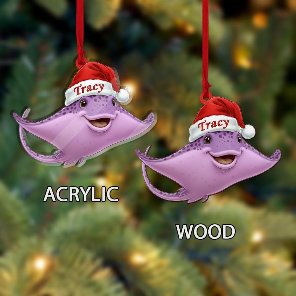 Personalized Ray Ornament – Acrylic Christmas Ornament with Name
