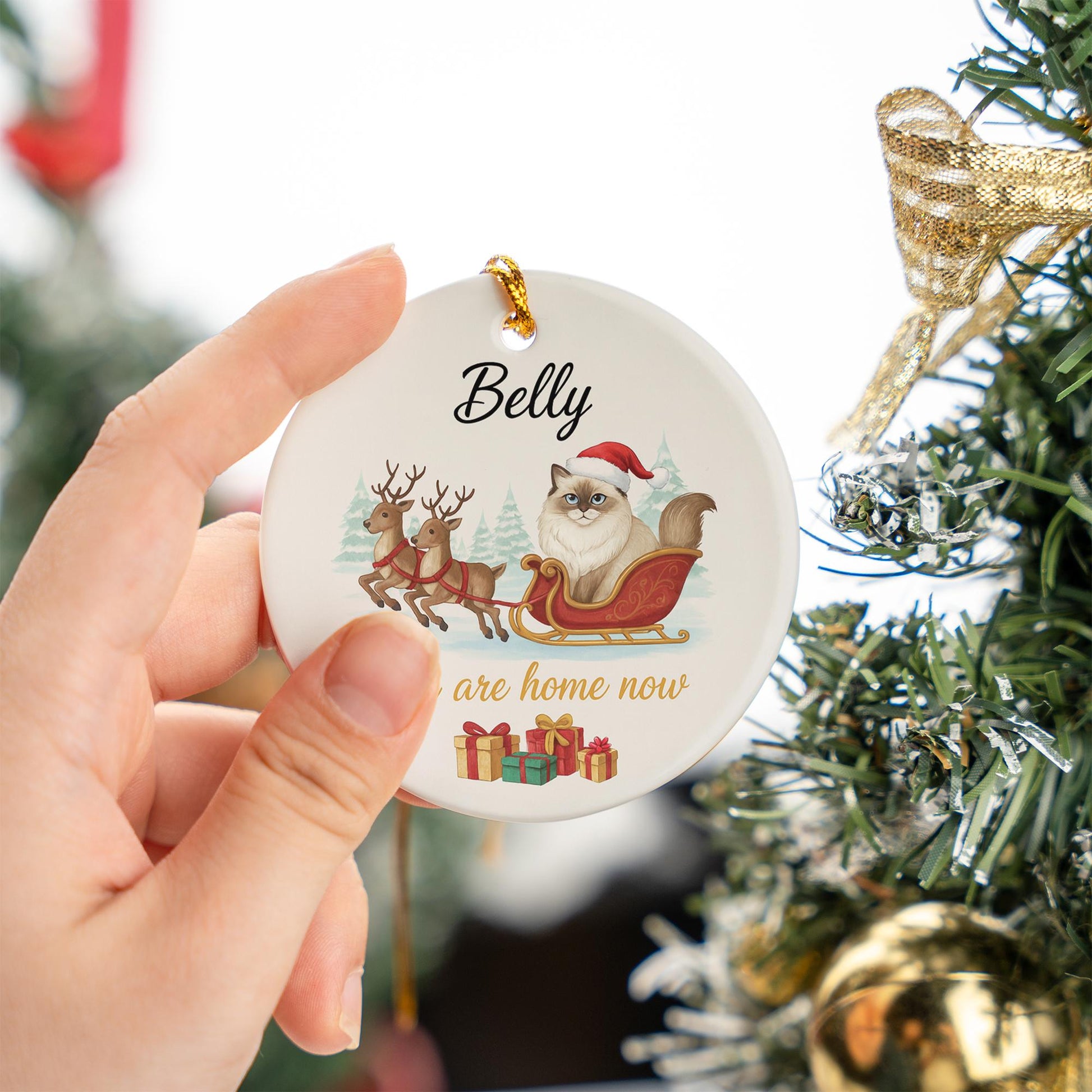 Personalized Ceramic Cat Ornament – Custom Pet Memorial Decoration with Sleigh and Reindeer