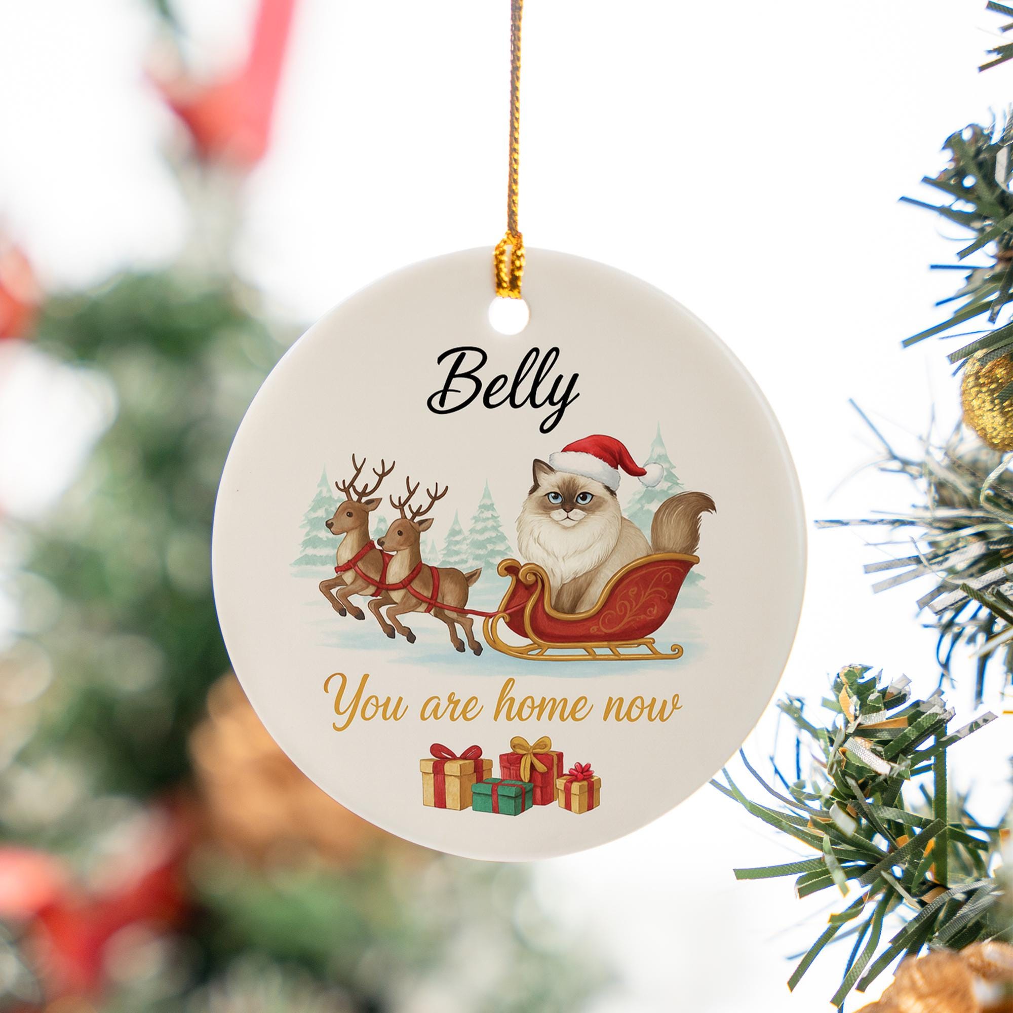 Personalized Ceramic Cat Ornament – Custom Pet Memorial Decoration with Sleigh and Reindeer