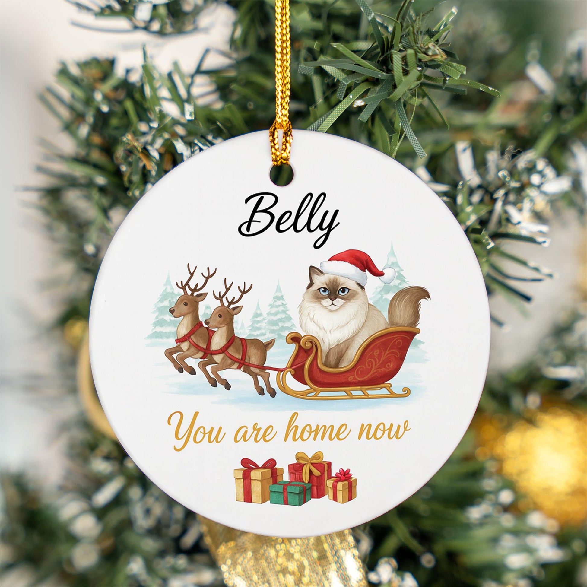 Personalized Ceramic Cat Ornament – Custom Pet Memorial Decoration with Sleigh and Reindeer
