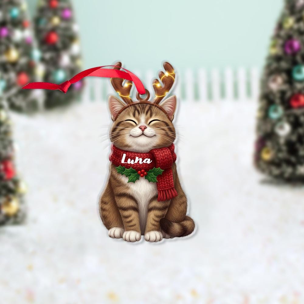 Personalized Cat Christmas Ornament: Custom Pet Holiday Decoration