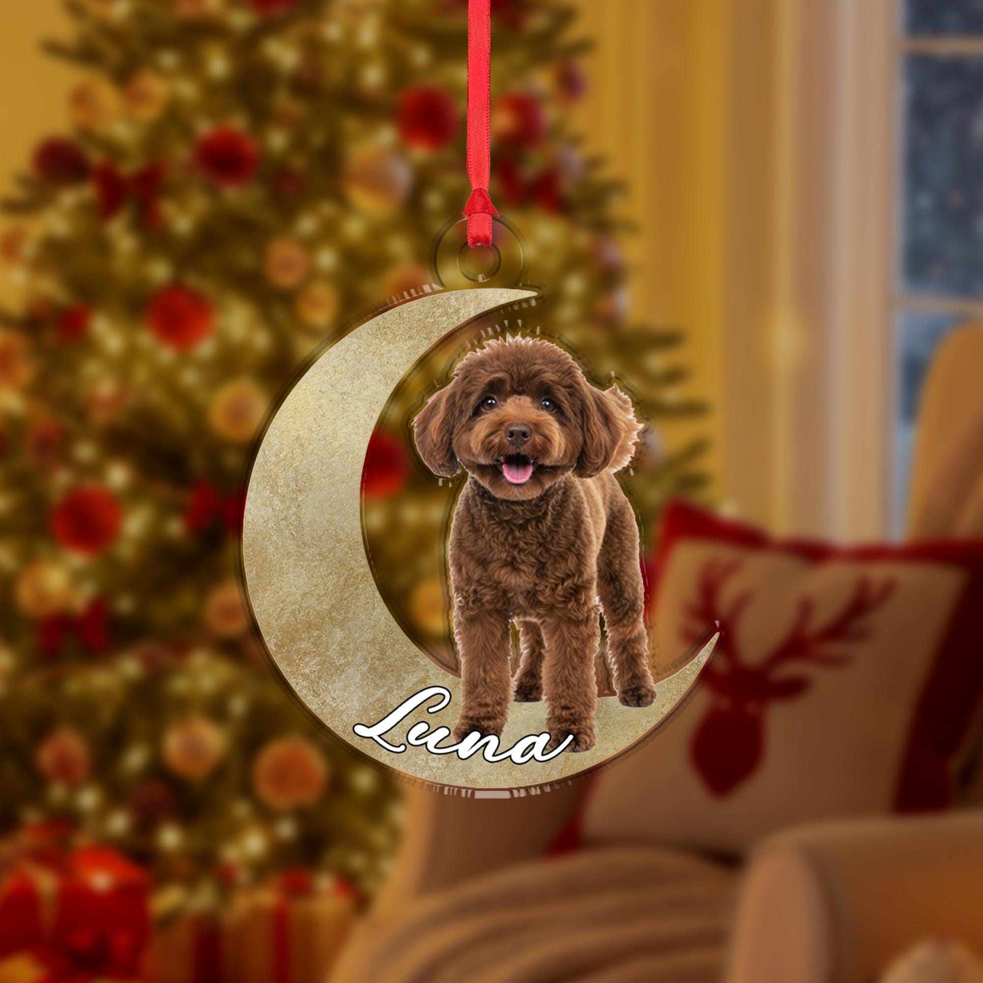 Custom Lunar Ornament — Personalized Moon & Pet Portrait Keepsake