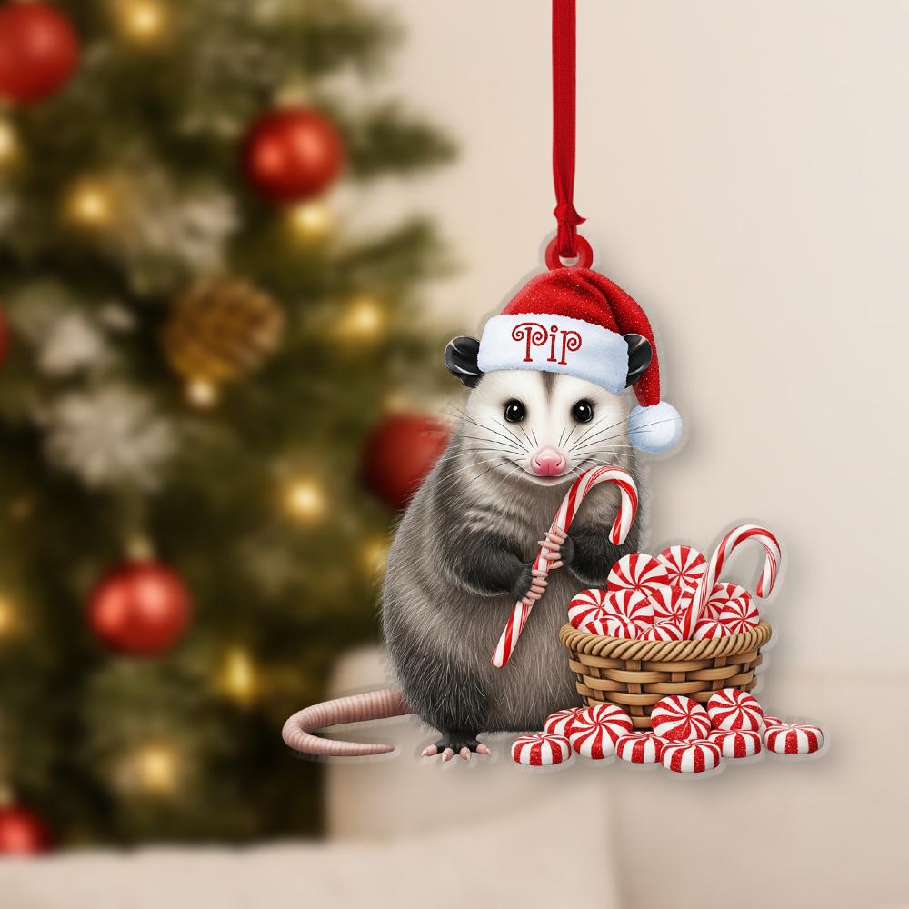 Personalized Opossum Ornament – Custom Name Santa Hat Christmas Tree Decoration