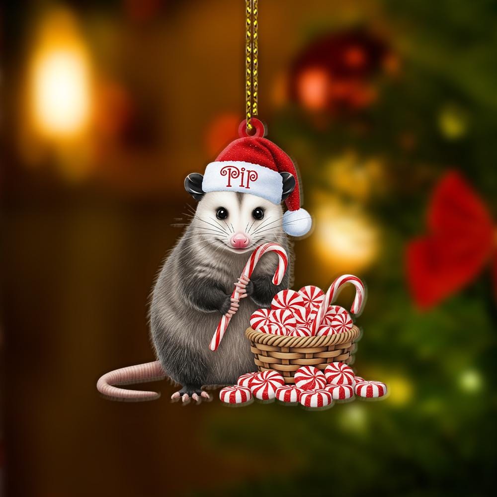 Personalized Opossum Ornament – Custom Name Santa Hat Christmas Tree Decoration