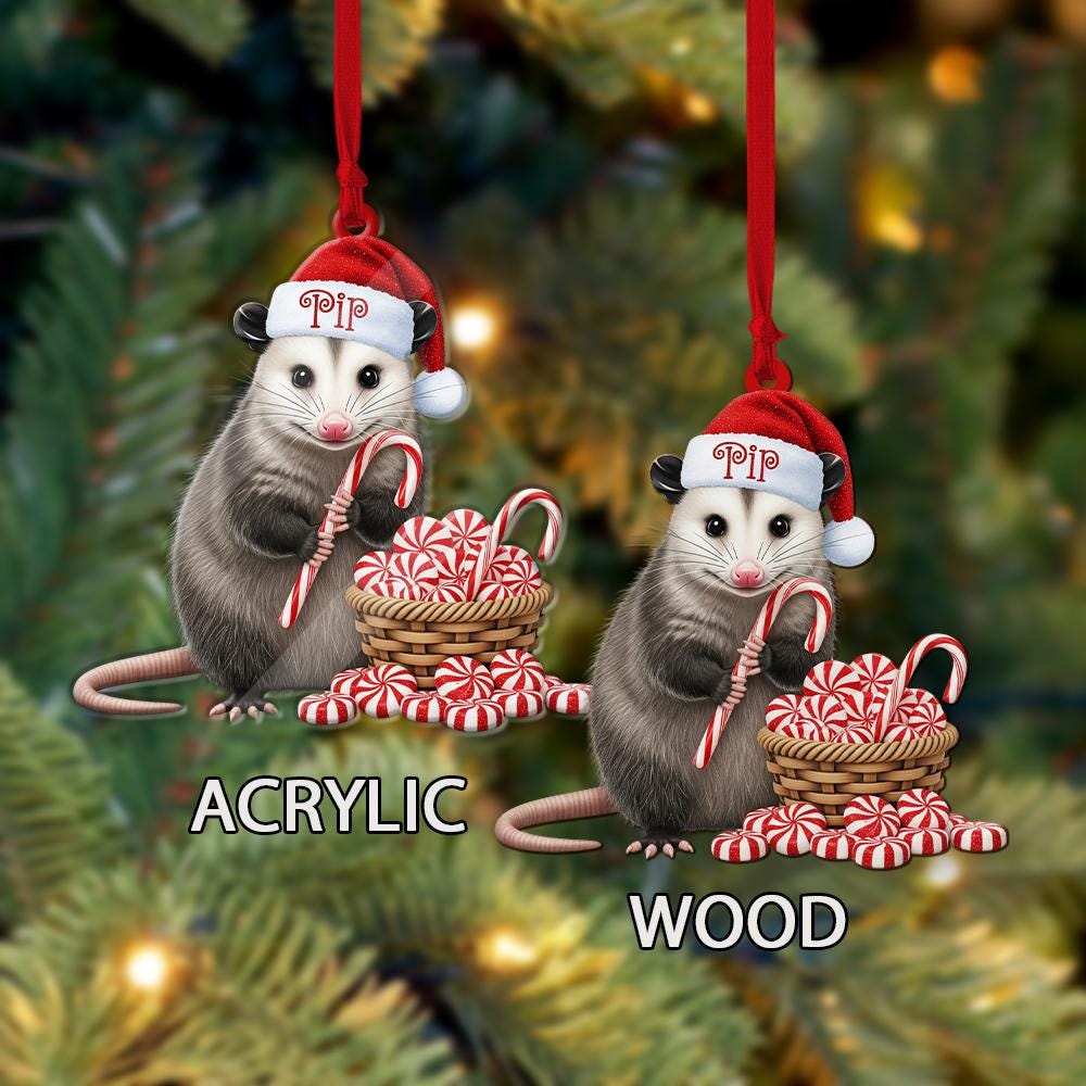 Personalized Opossum Ornament – Custom Name Santa Hat Christmas Tree Decoration