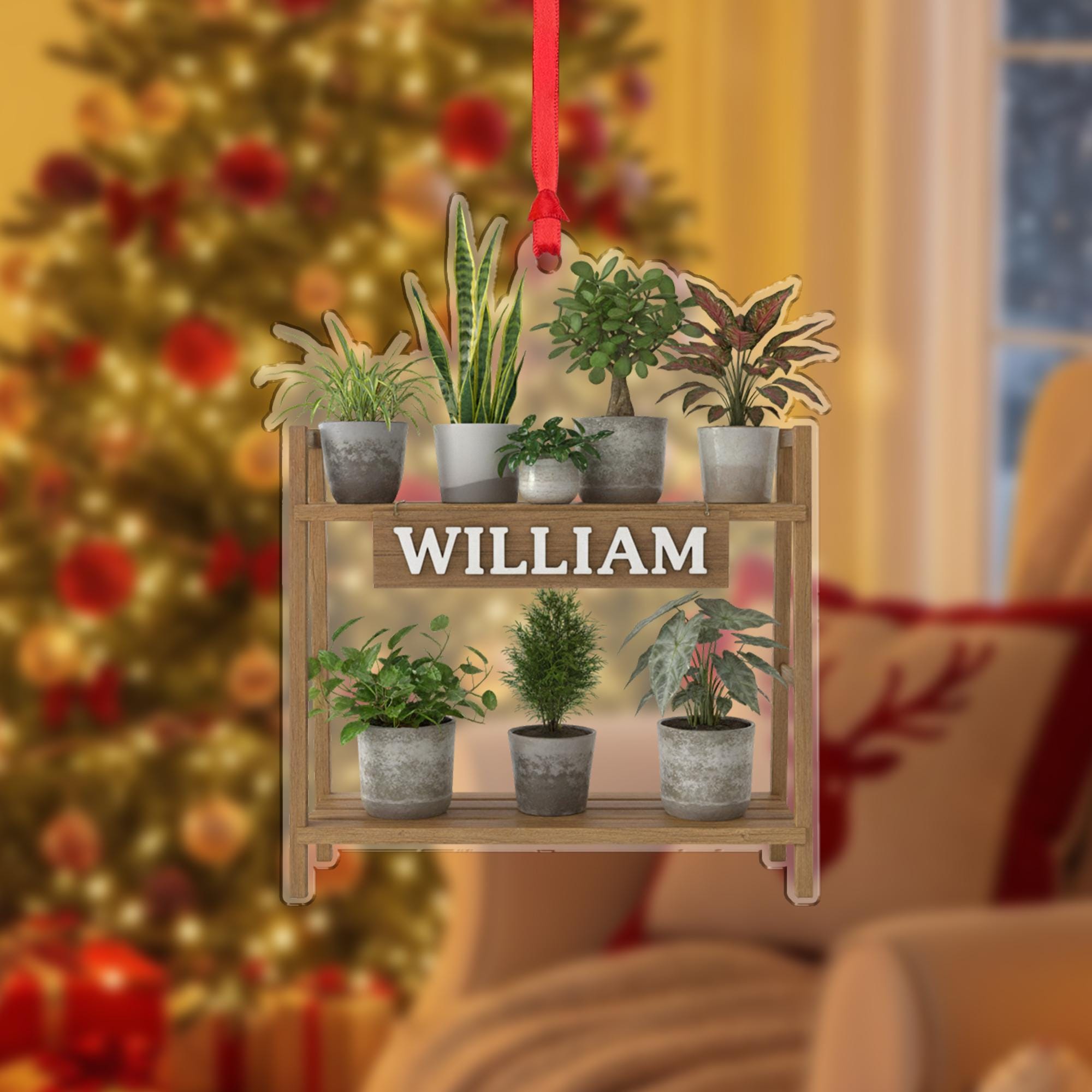Personalized Plant Shelf Ornament: Wooden & Acrylic Potted Plant Display