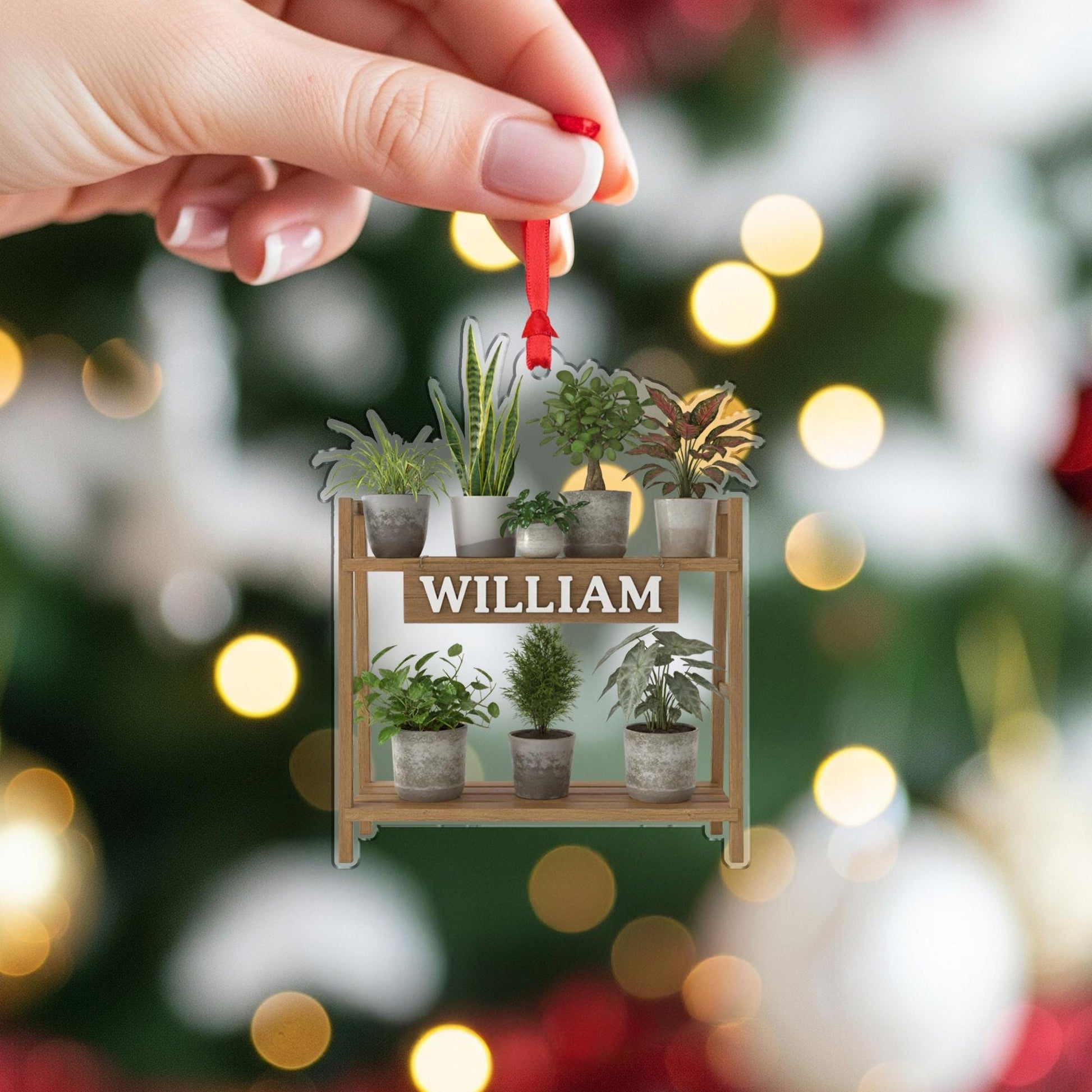 Personalized Plant Shelf Ornament: Wooden & Acrylic Potted Plant Display