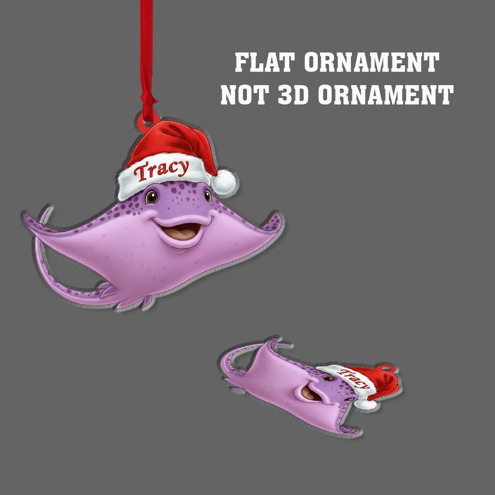 Personalized Ray Ornament – Acrylic Christmas Ornament with Name