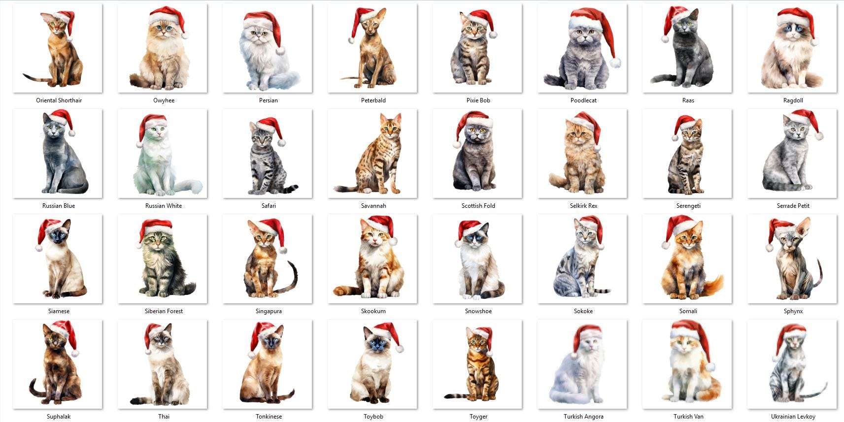 Funny Cats Broke Ornaments Down Counter Sign: Personalized Naughty Kitty Holiday Decor image 4