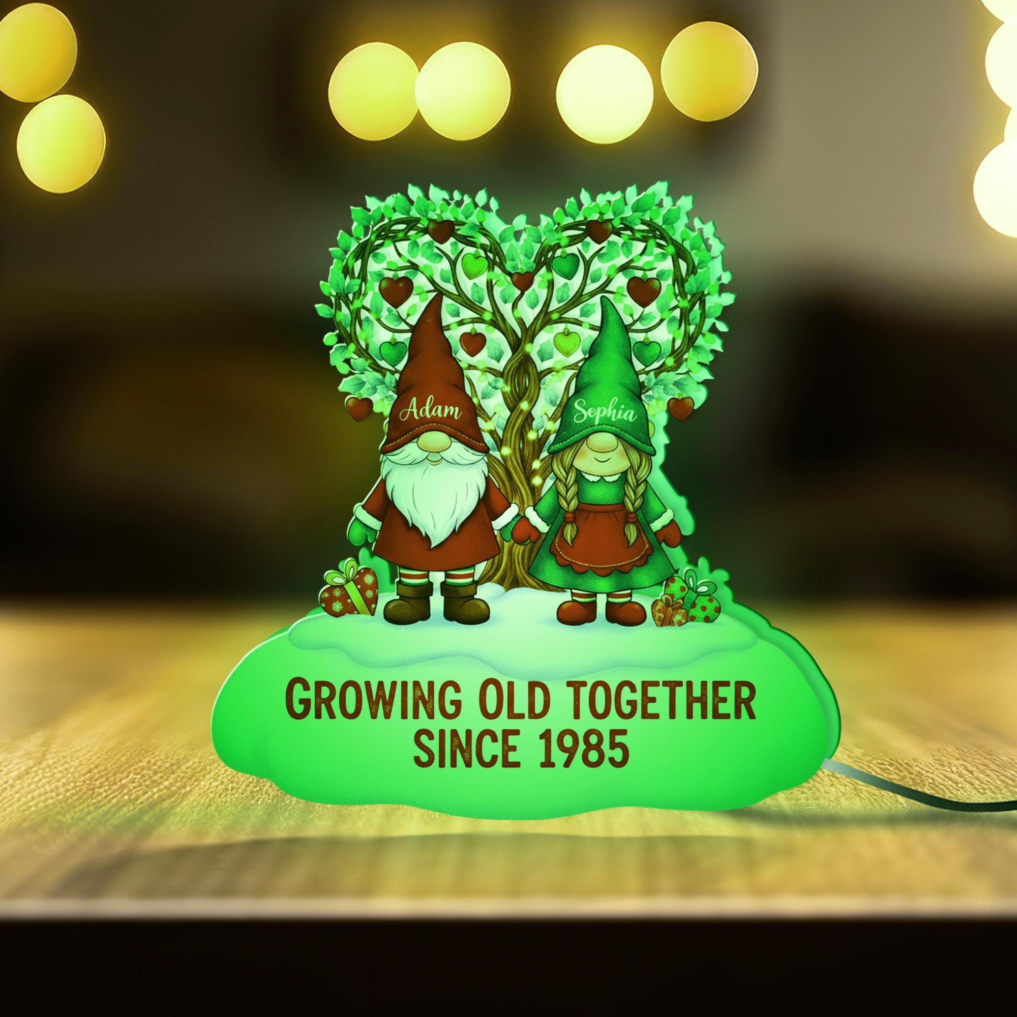 Custom Gnome Couple Night Light Box: LED Home Decor image 3