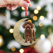 Custom Lunar Ornament — Personalized Moon & Pet Portrait Keepsake