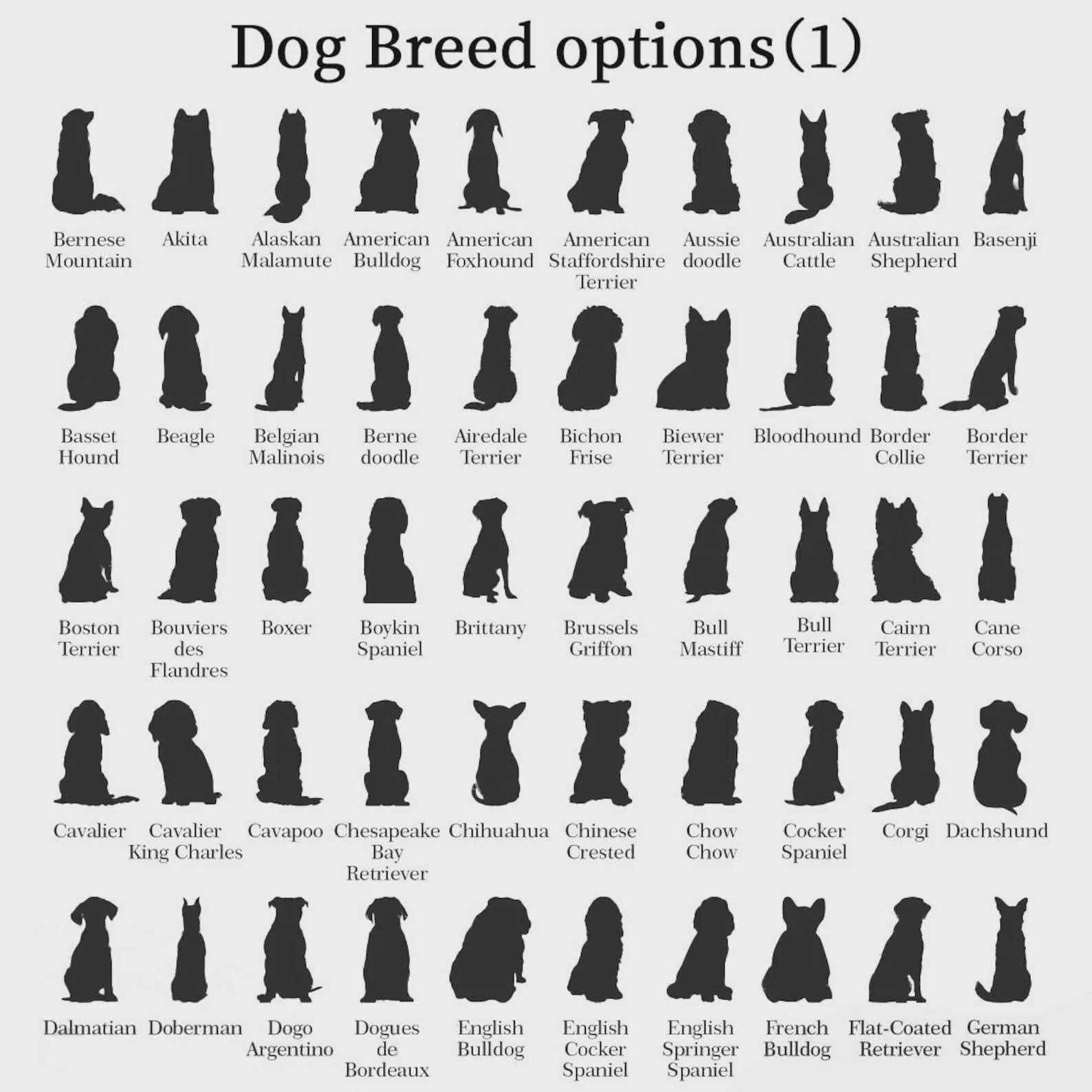 Acrylic Suncatcher: Personalized Dog Silhouette Paw Print Floral Remembrance