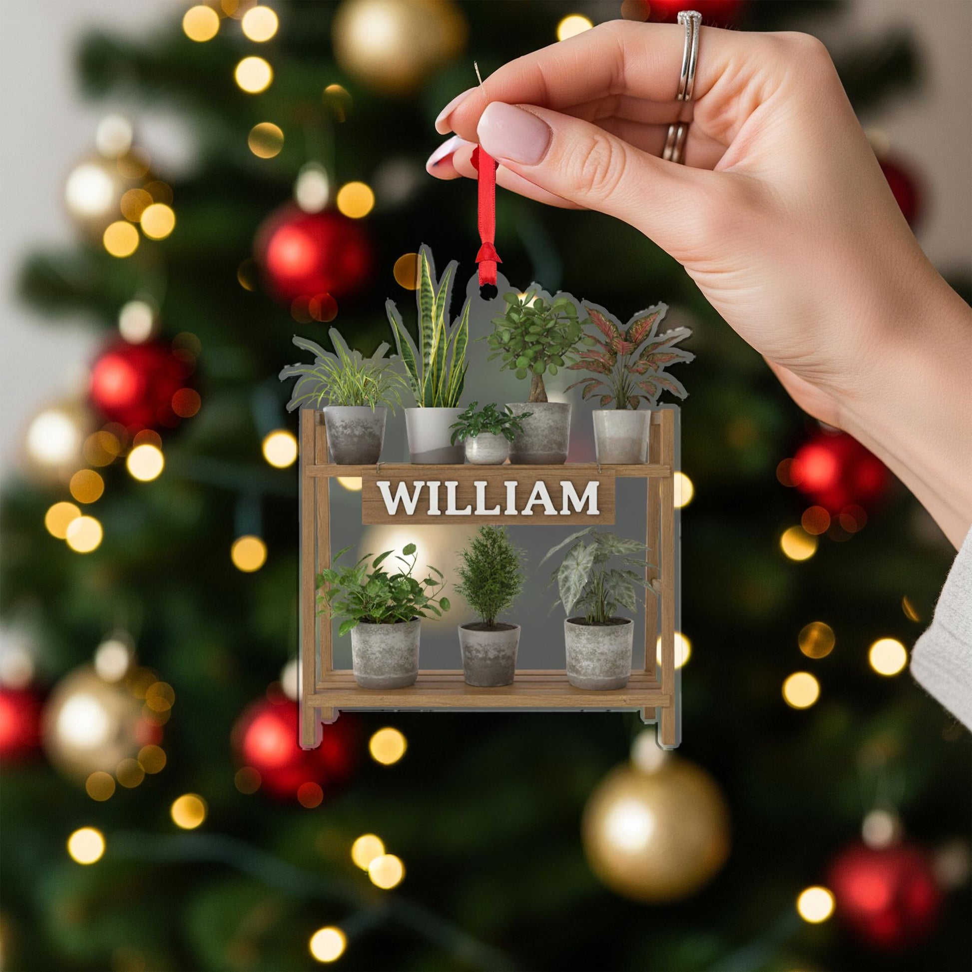 Personalized Plant Shelf Ornament: Wooden & Acrylic Potted Plant Display