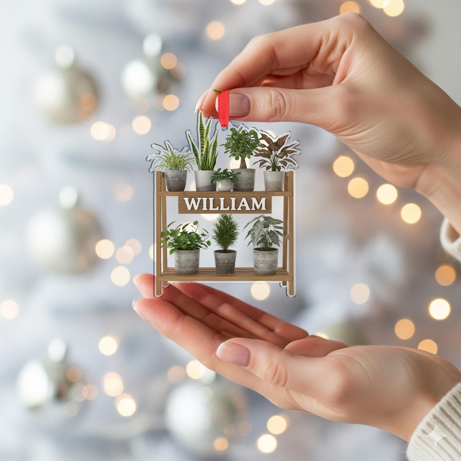 Personalized Plant Shelf Ornament: Wooden & Acrylic Potted Plant Display