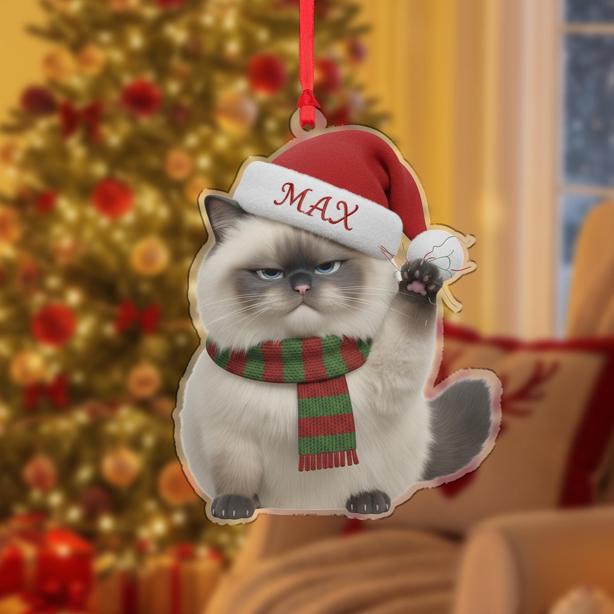 Personalized Ragdoll Cat Ornament: Grumpy Cat Lover Gift image 2