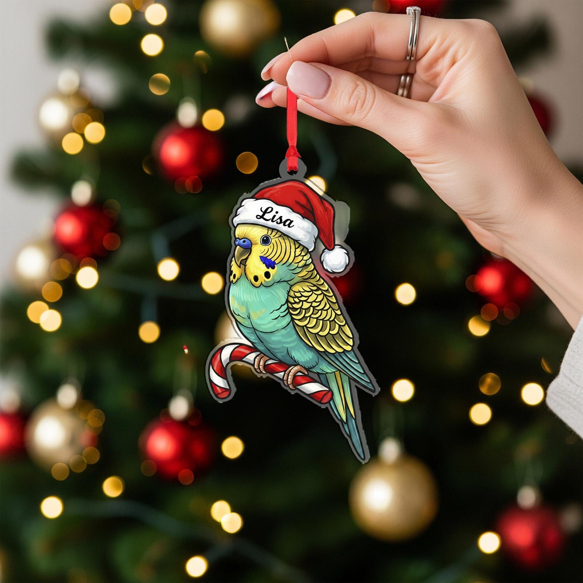Acrylic Parakeet Ornament – Budgie with Santa Hat and Candy Cane Design, Personalized Name, Christmas Tree Decoration image 2