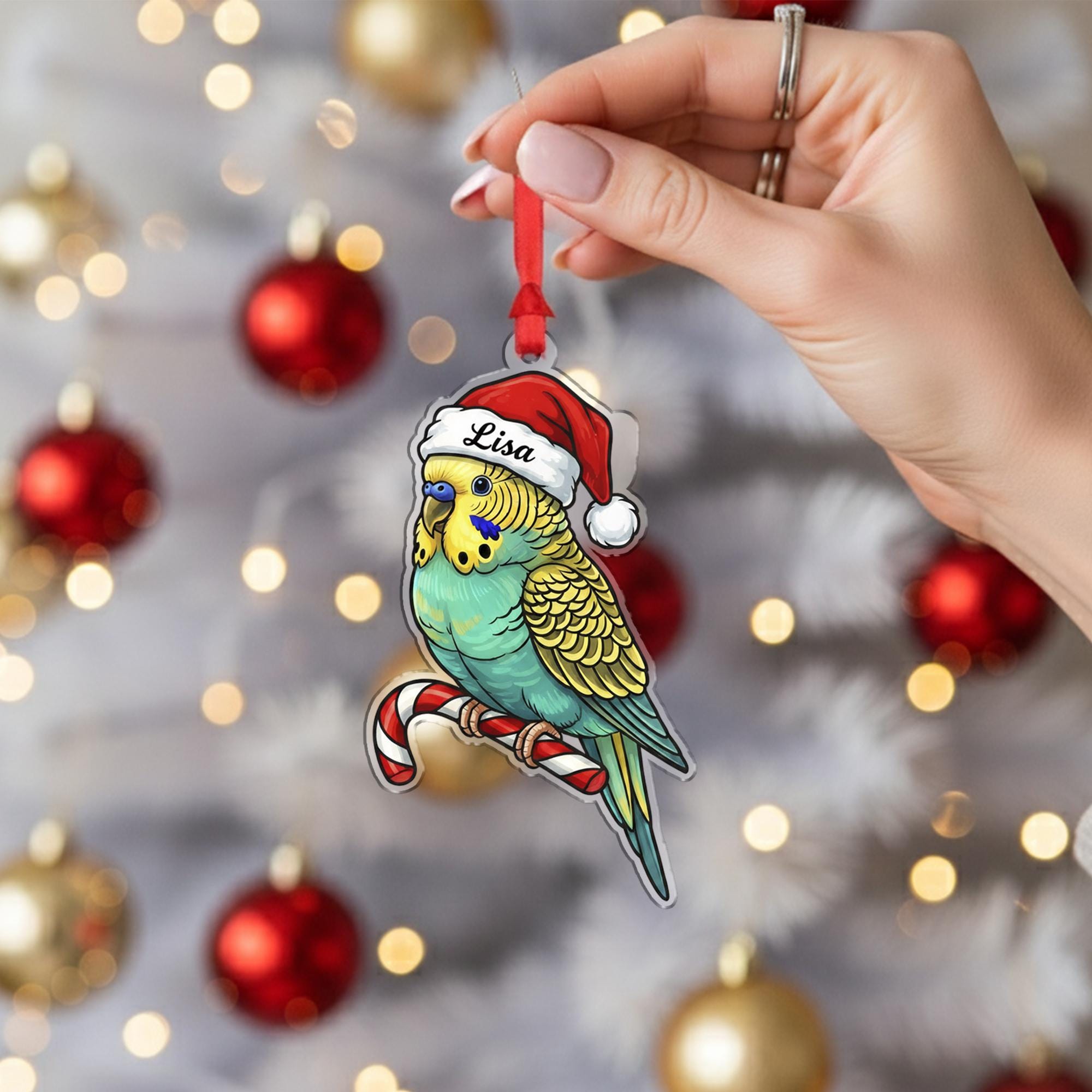 Acrylic Parakeet Ornament – Budgie with Santa Hat and Candy Cane Design, Personalized Name, Christmas Tree Decoration image 3