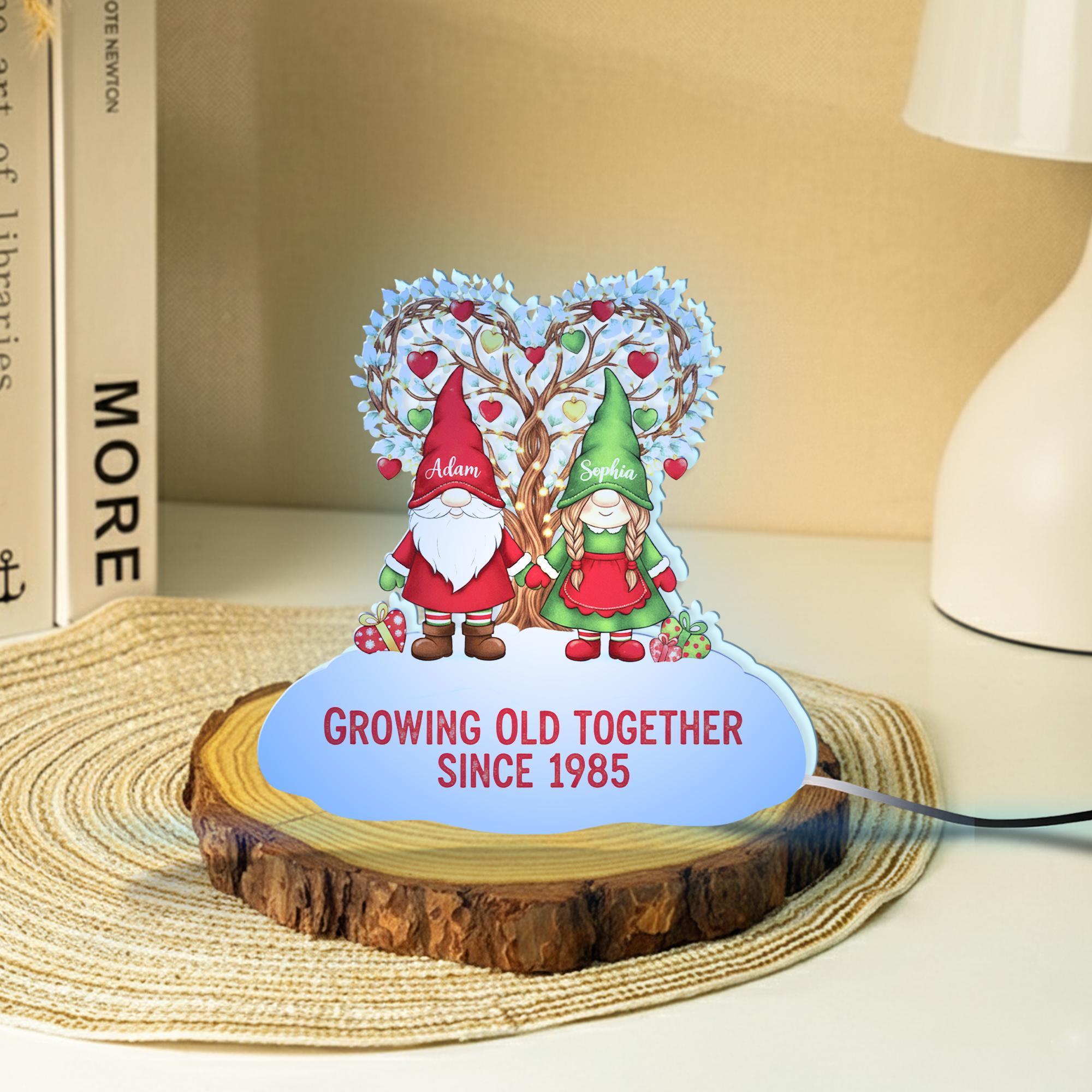 Custom Gnome Couple Night Light Box: LED Home Decor image 4