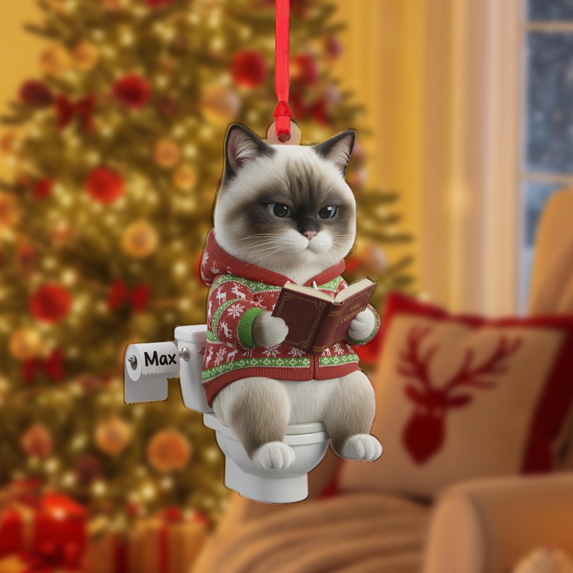 Personalized Acrylic Ornament: Custom Cat Breed, Cat on Toilet, Christmas Sweater image 2