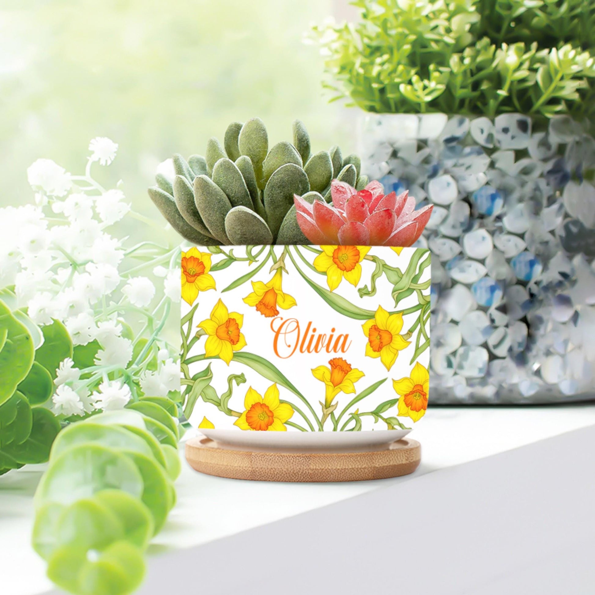 Personalized March Flower Daffodil Plant Pot: Custom Name Ceramic Succulent Planter with Tray image 2