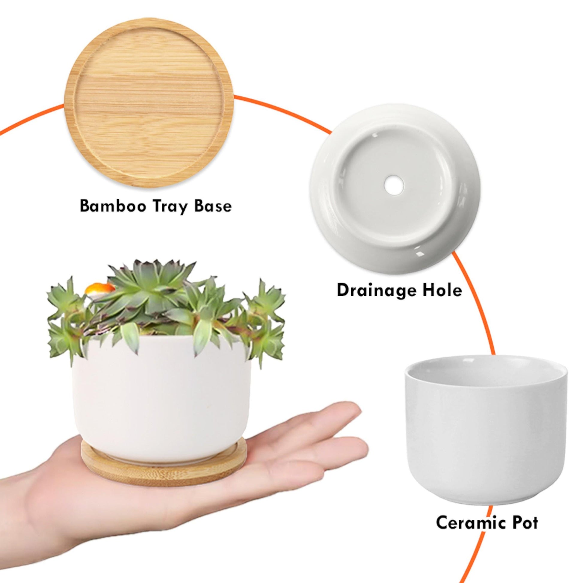 Personalized March Flower Daffodil Plant Pot: Custom Name Ceramic Succulent Planter with Tray image 8