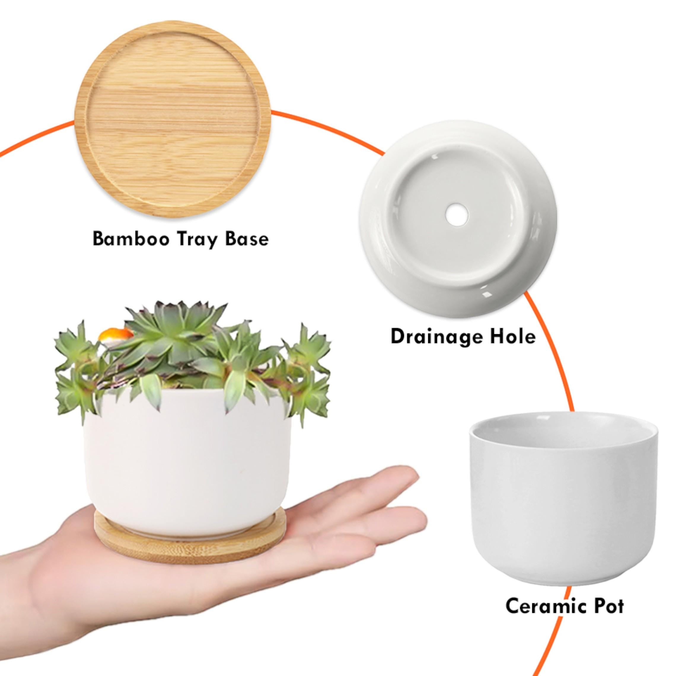 Personalized March Flower Daffodil Plant Pot: Custom Name Ceramic Succulent Planter with Tray image 8