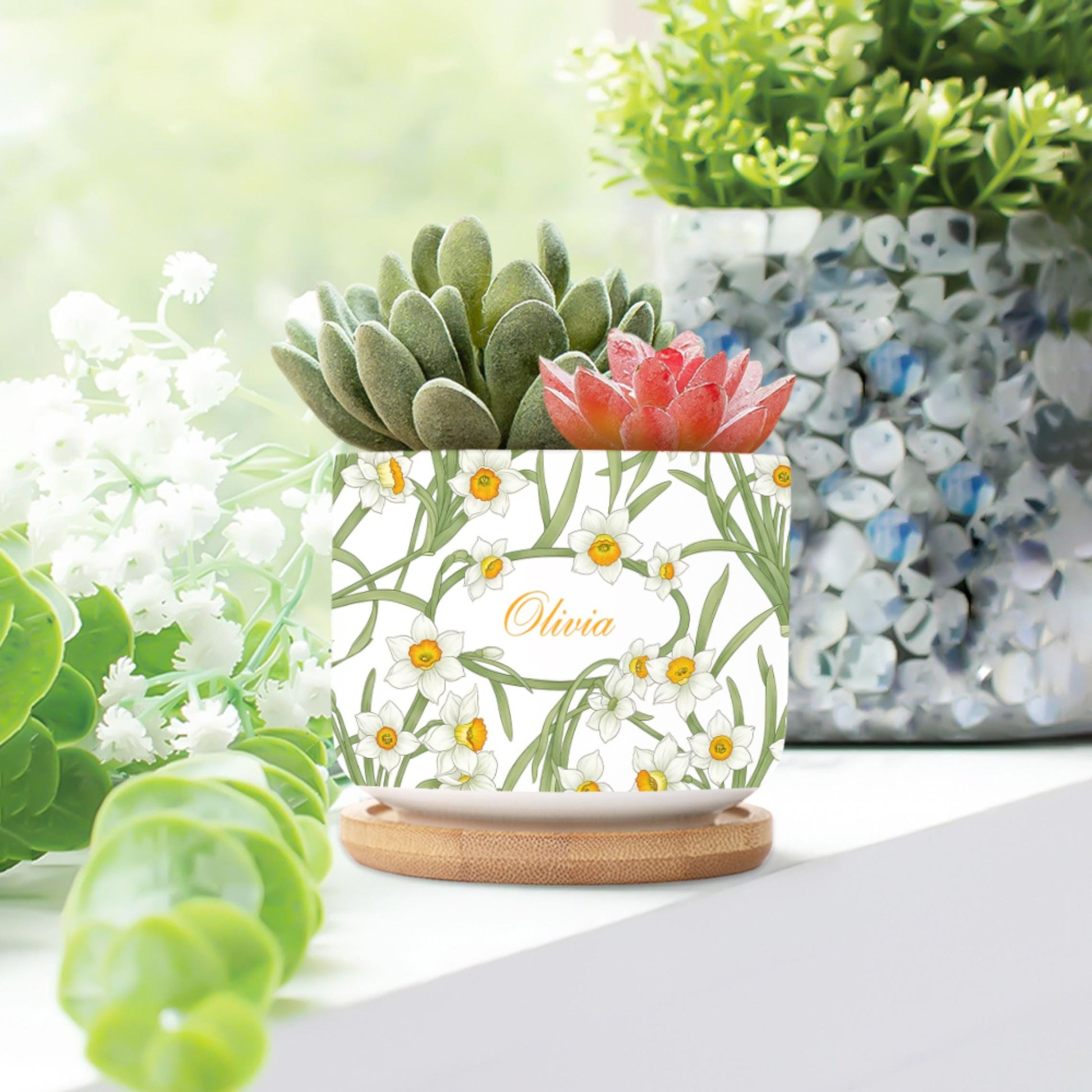 Personalized March Birthday Flower Daffodil Ceramic Pot: Custom Name, Succulent Planter with Tray image 8