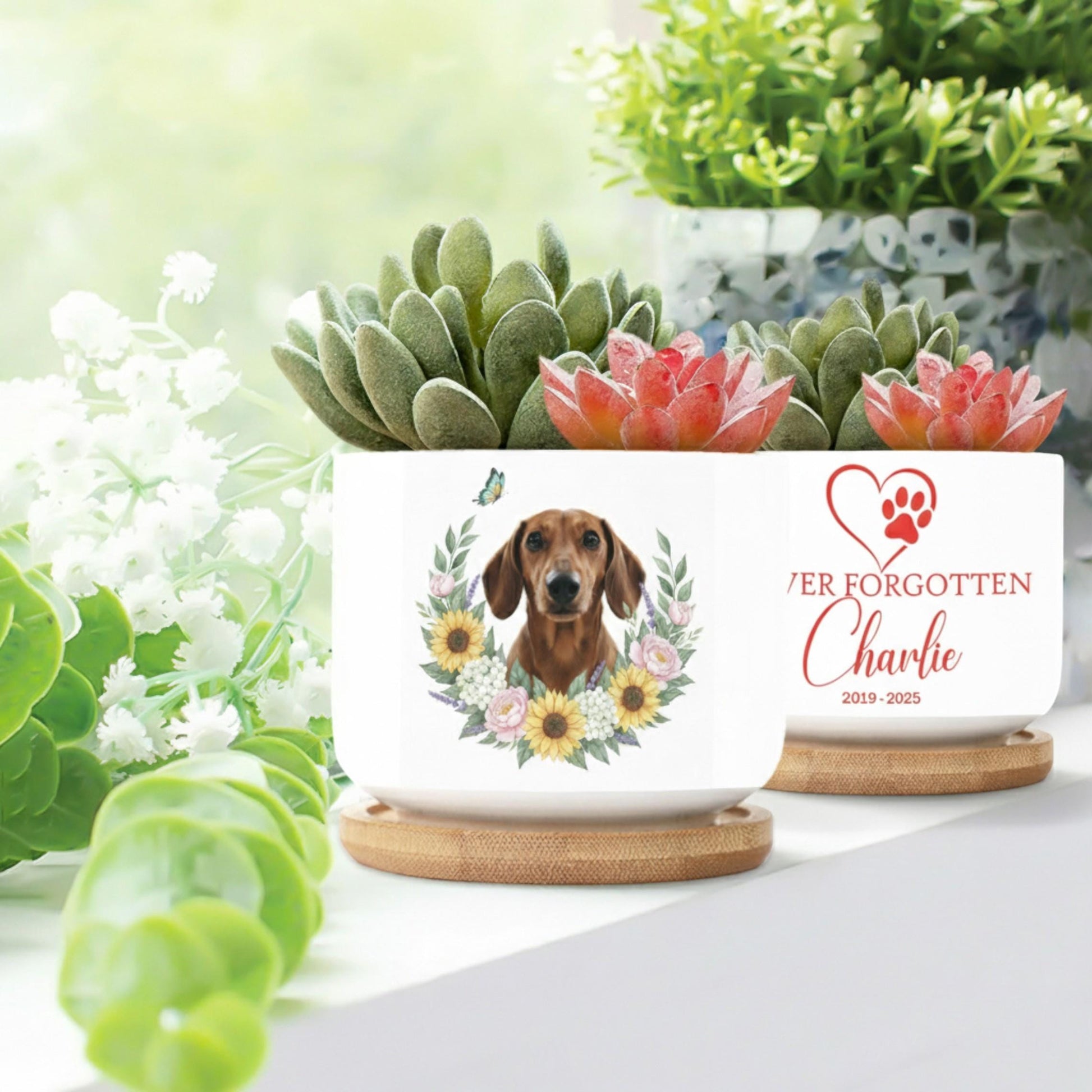 Personalized Pet Memorial Planter: Custom Dog Photo, Ceramic Pot, Pet Loss Gift image 4