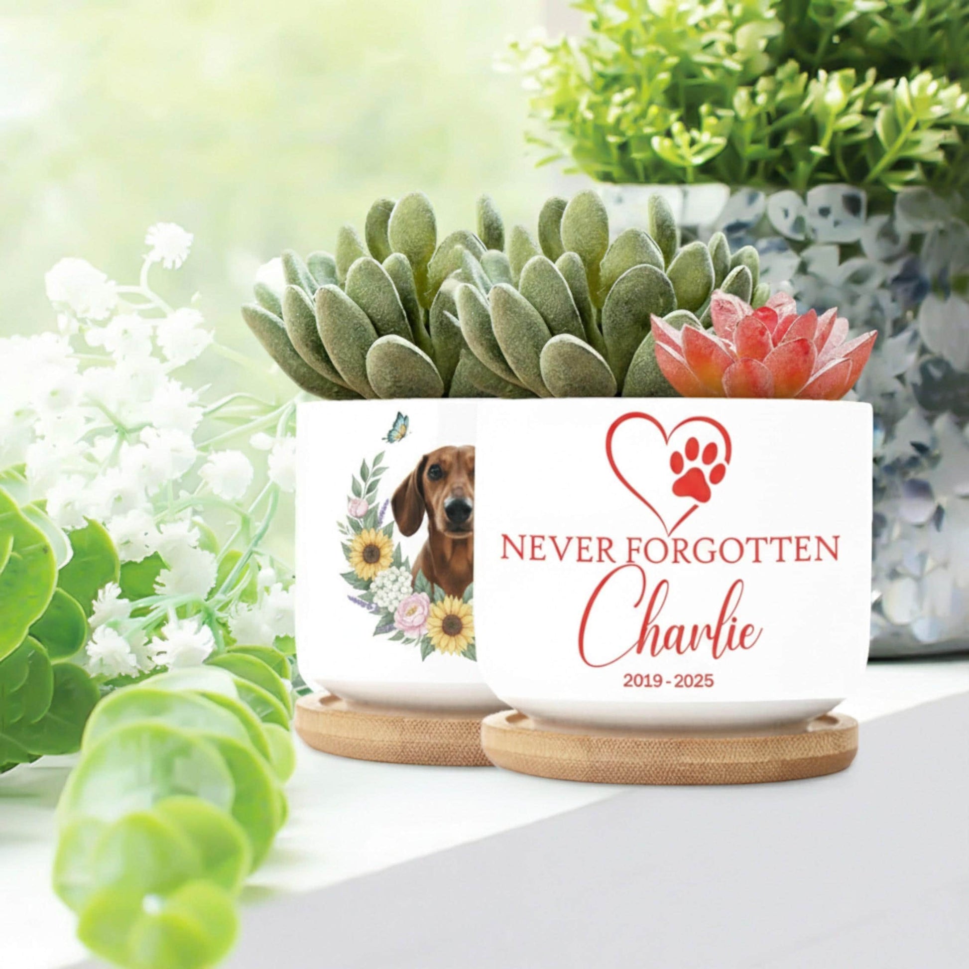 Personalized Pet Memorial Planter: Custom Dog Photo, Ceramic Pot, Pet Loss Gift image 3