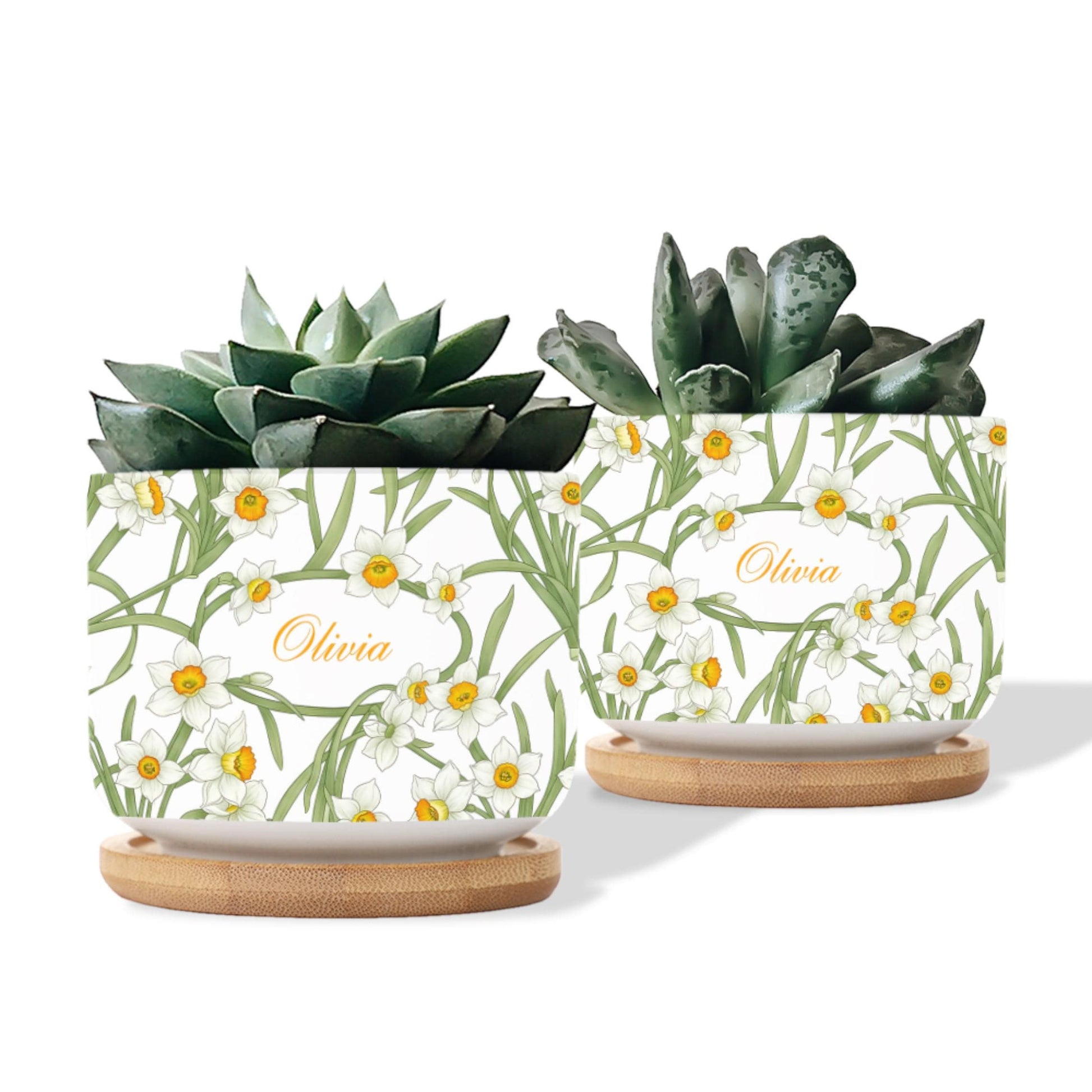 Personalized March Birthday Flower Daffodil Ceramic Pot: Custom Name, Succulent Planter with Tray image 5