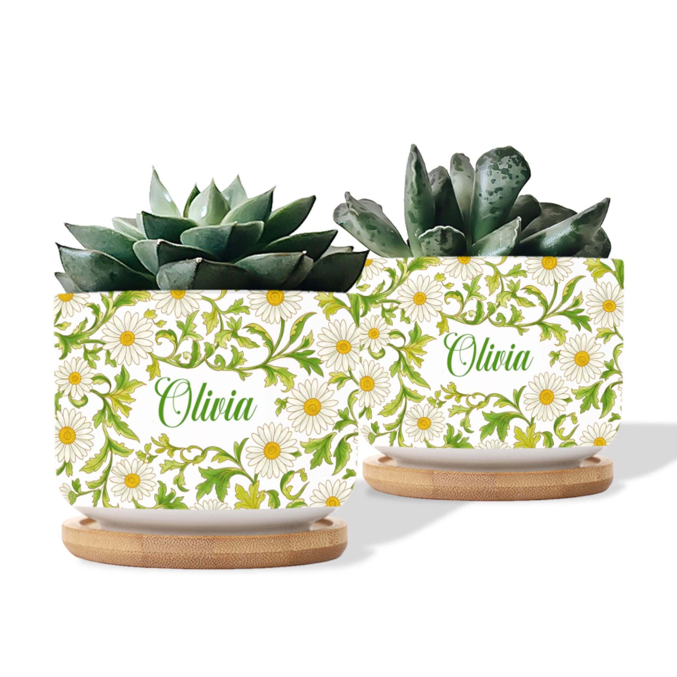 Personalized April Birthday Flower Daisy Plant Pot: Custom Name Ceramic Succulent Planter with Tray image 3