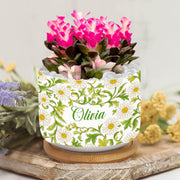 Personalized April Birthday Flower Daisy Plant Pot: Custom Name Ceramic Succulent Planter with Tray image 1