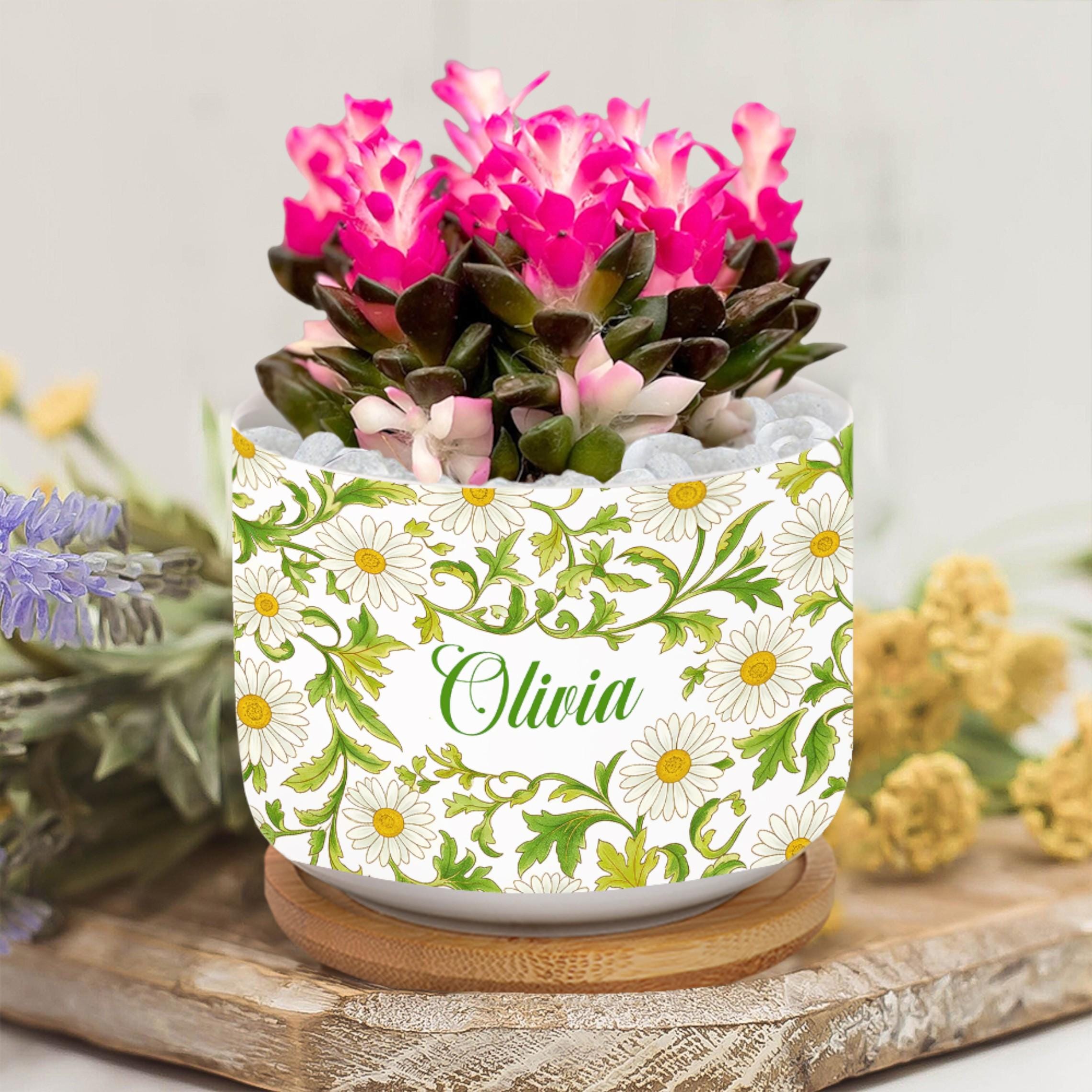 Personalized April Birthday Flower Daisy Plant Pot: Custom Name Ceramic Succulent Planter with Tray image 1