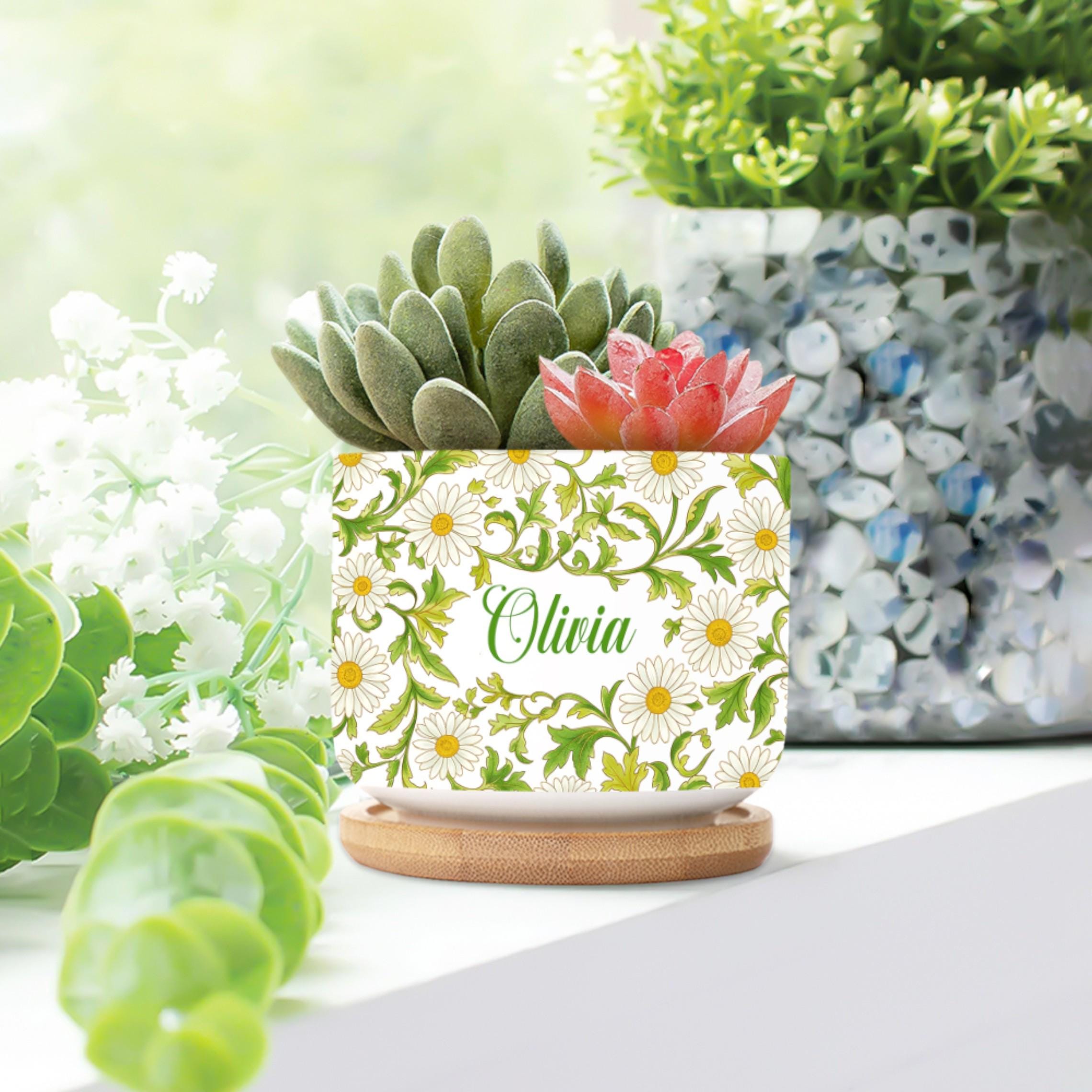 Personalized April Birthday Flower Daisy Plant Pot: Custom Name Ceramic Succulent Planter with Tray image 7