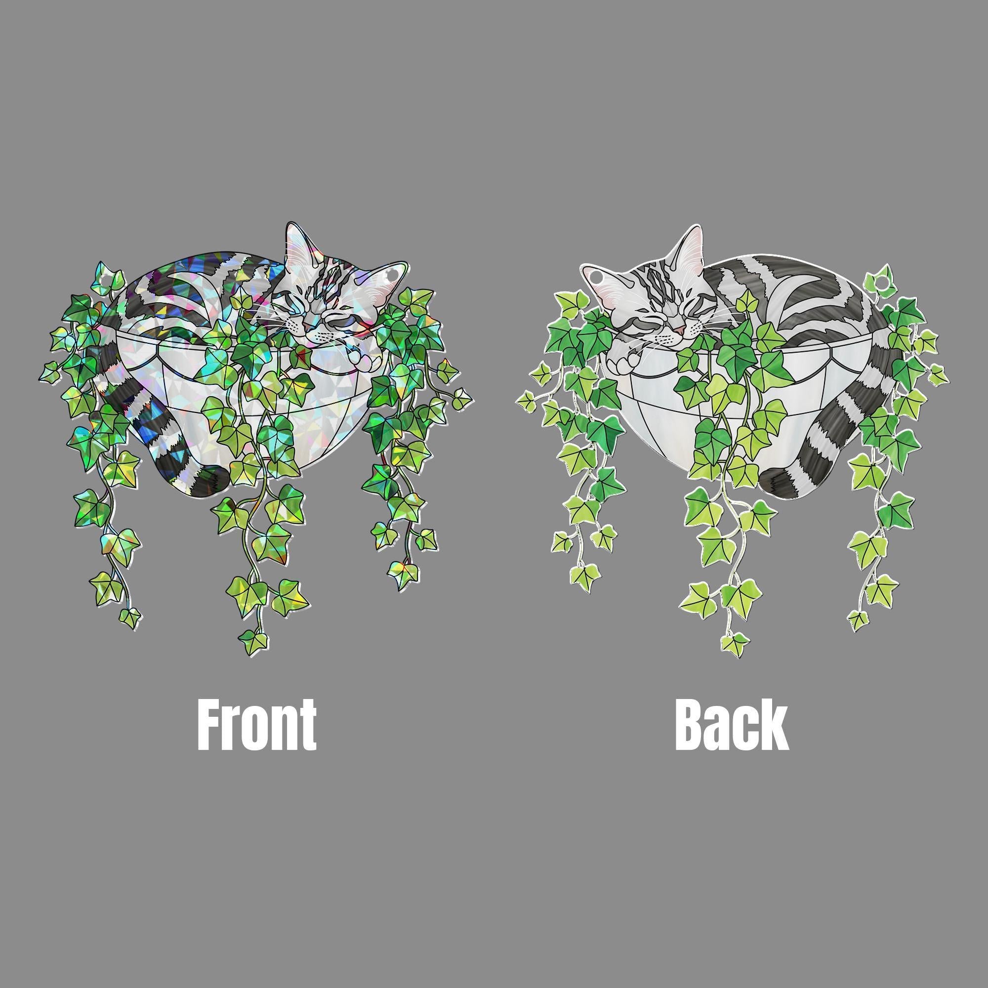 American Shorthair Cat Sleeping in Ivy Hologram Acrylic Window Hanging image 5